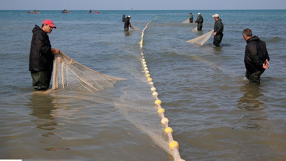 چينيك و چينيك چي