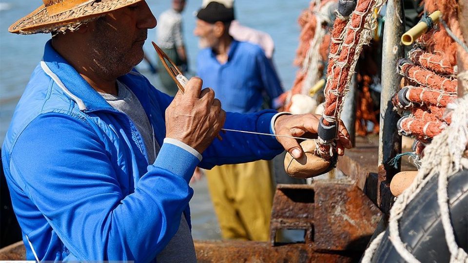 چينيك و چينيك چي