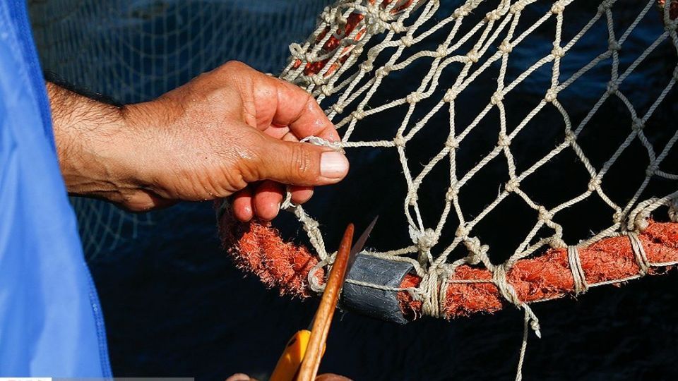 چينيك و چينيك چي