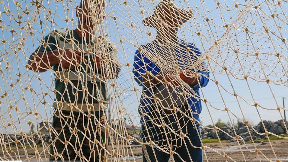 چينيك و چينيك چي