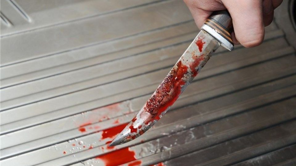 شهادت یک بسیجی در تهرانپارس به دست اراذل و اوباش شهادت یک بسیجی در تهرانپارس به دست اراذل و اوباش