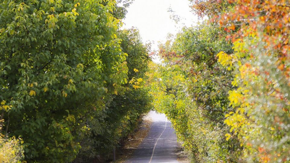 طبیعت پاییزی ارسباران