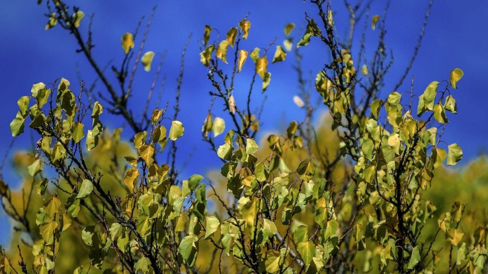 طبیعت پاییزی ارسباران