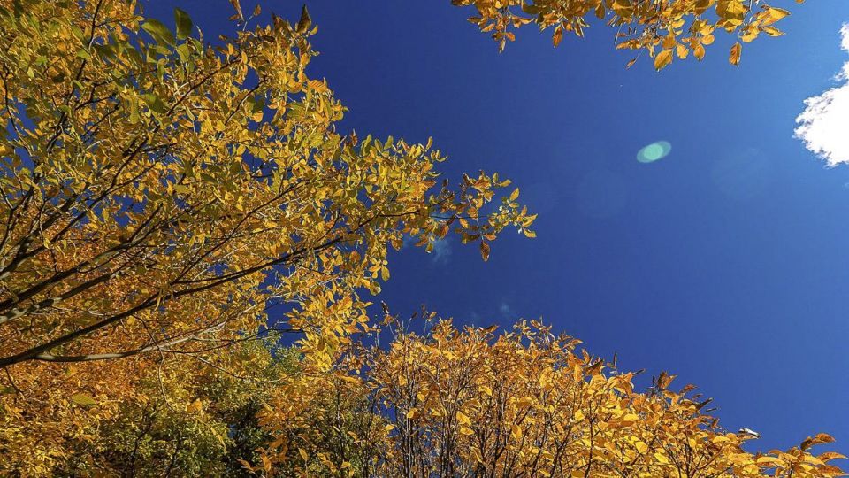 طبیعت پاییزی ارسباران