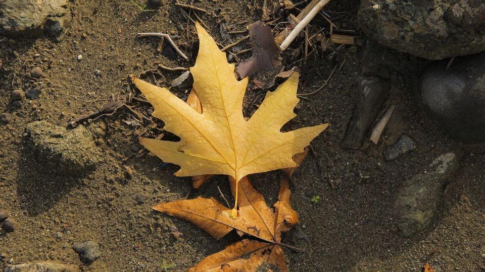 طبیعت پاییزی ارسباران