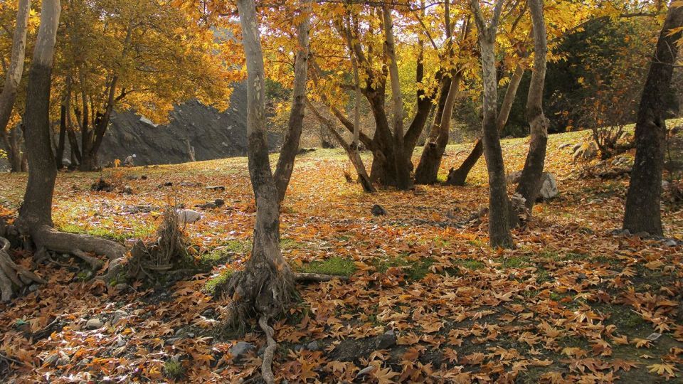 طبیعت پاییزی ارسباران