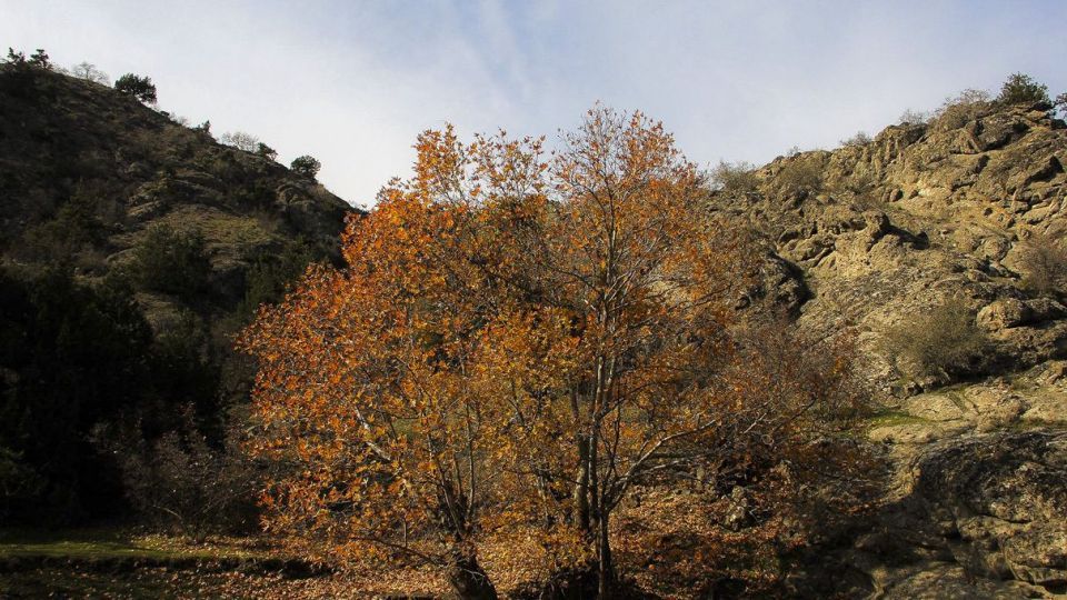 طبیعت پاییزی ارسباران