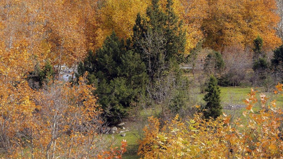 طبیعت پاییزی ارسباران