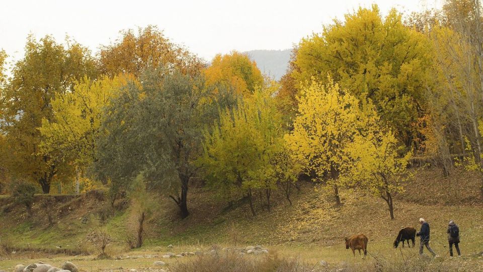 طبیعت پاییزی ارسباران