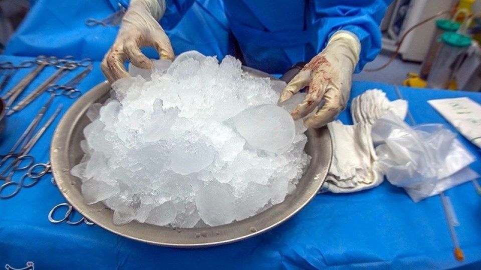 اهدای اعضای نوجوان ۱۵ ساله رامهرمزی