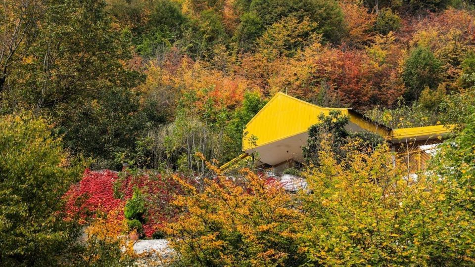 پاییز جنگل هیرکانی - گلستان