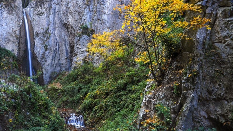 پاییز جنگل هیرکانی - گلستان
