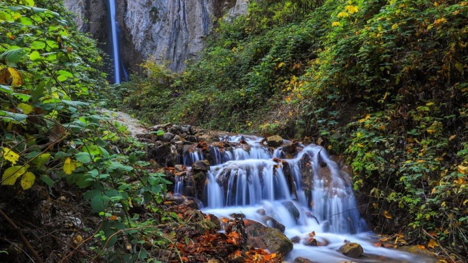 پاییز جنگل هیرکانی - گلستان
