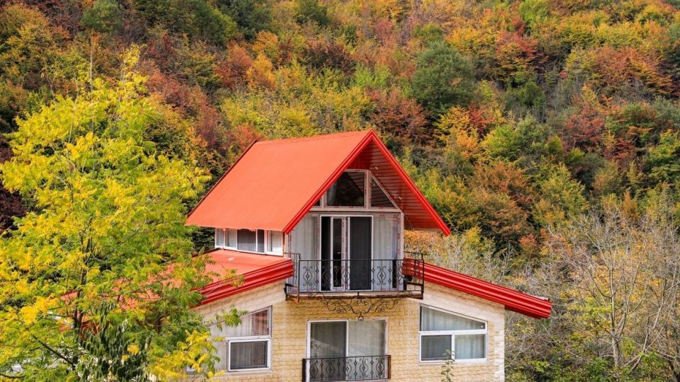 پاییز جنگل هیرکانی - گلستان