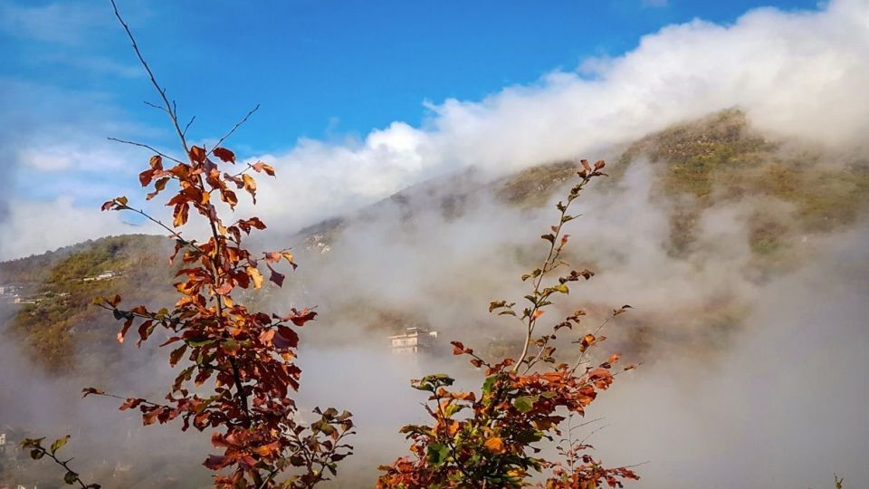 پاییز جنگل هیرکانی - گلستان