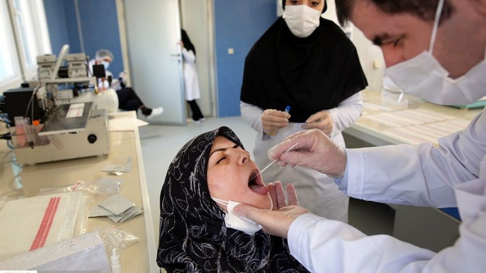 خط تولید کیت تشخیص فوری کرونا