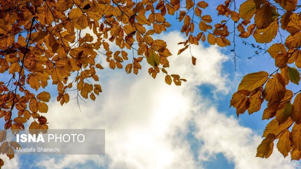 تصاویر خیره کننده پائیز طلایی در چهاردانگه ساری