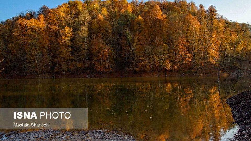 تصاویر خیره کننده پائیز طلایی در چهاردانگه ساری