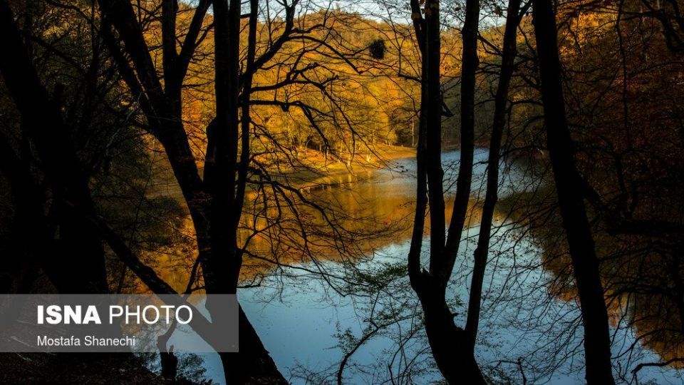 تصاویر خیره کننده پائیز طلایی در چهاردانگه ساری