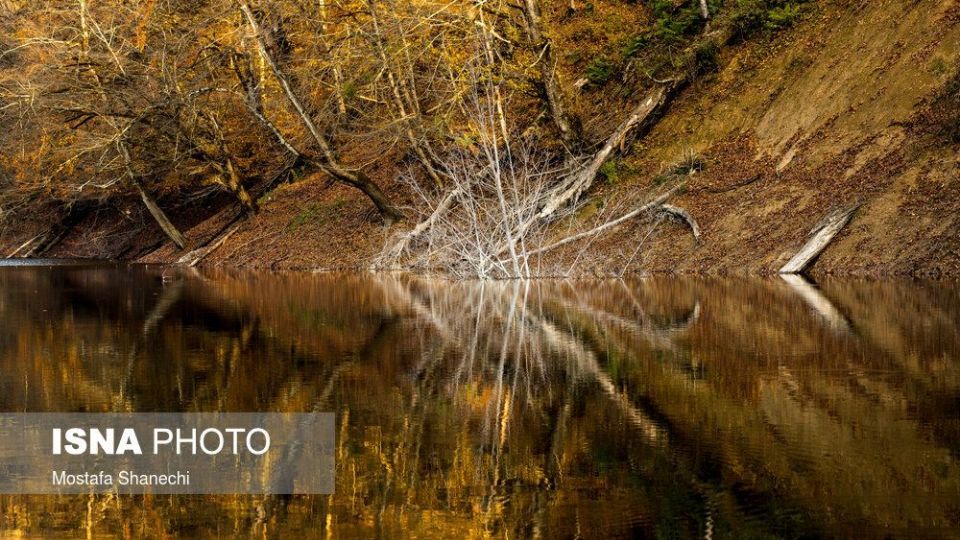 تصاویر خیره کننده پائیز طلایی در چهاردانگه ساری