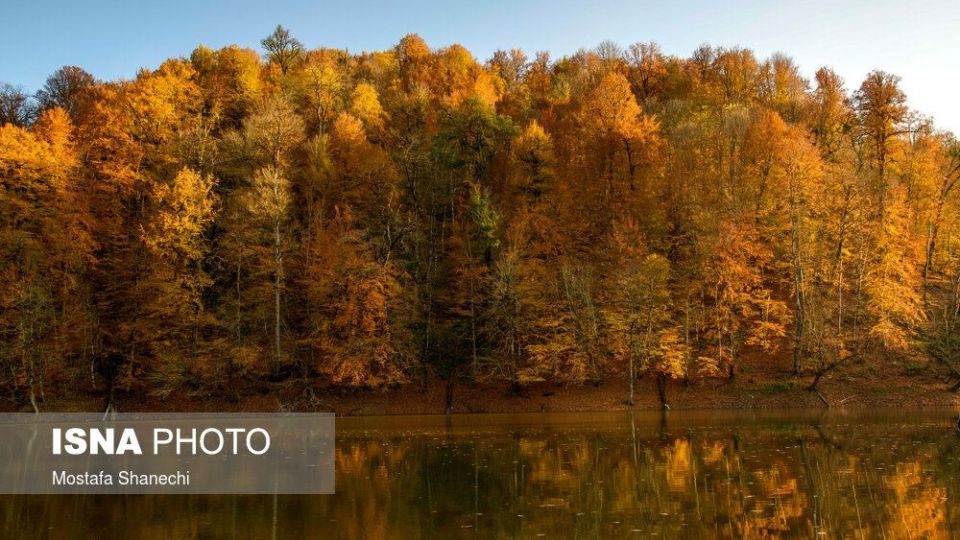 تصاویر خیره کننده پائیز طلایی در چهاردانگه ساری