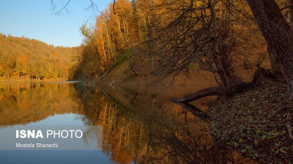 تصاویر خیره کننده پائیز طلایی در چهاردانگه ساری