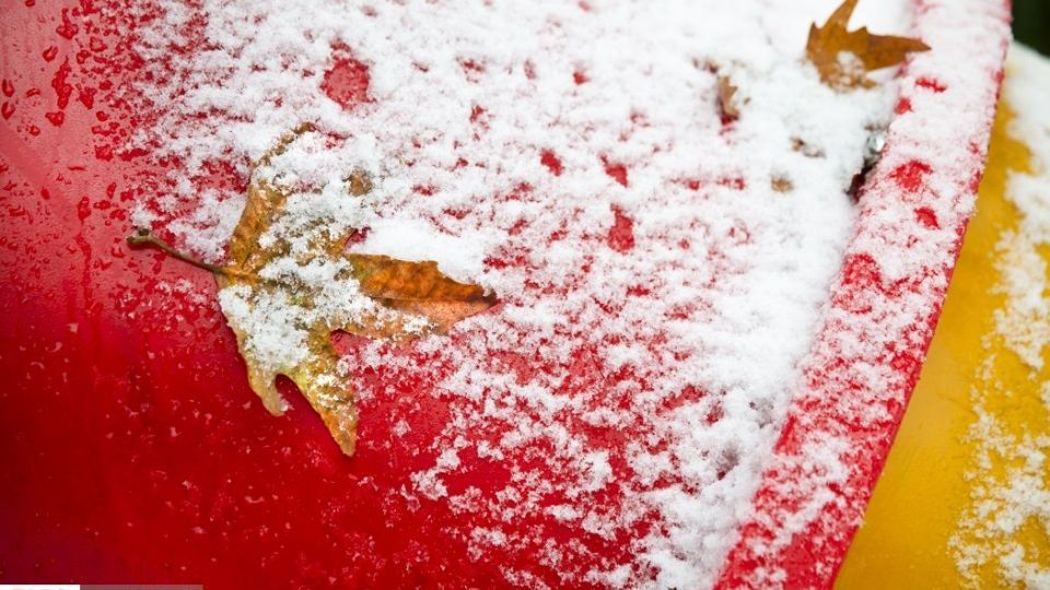 بارش برف پاییزی در شمال تهران