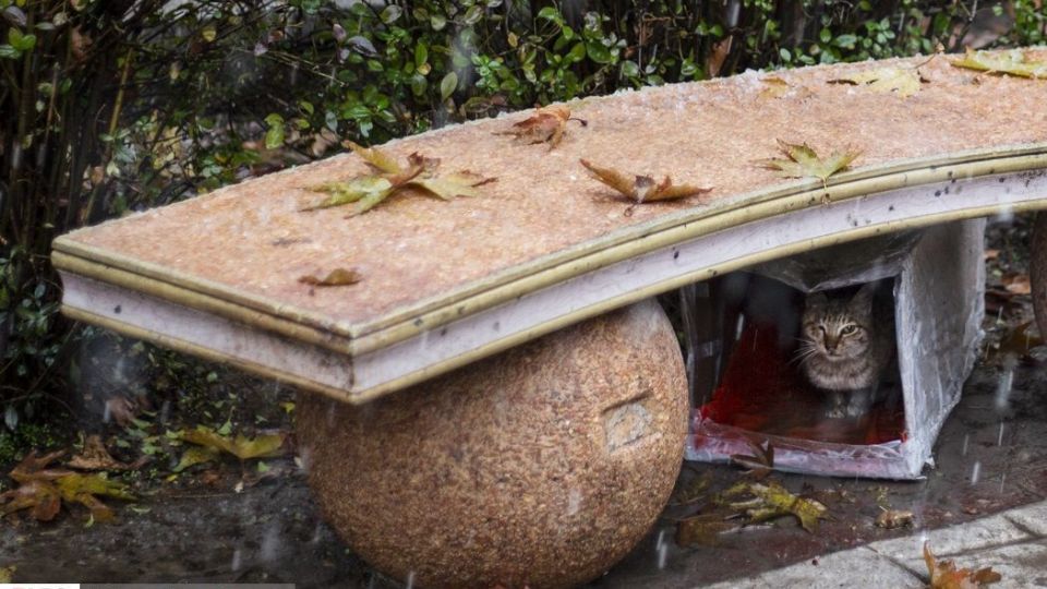 بارش برف پاییزی در شمال تهران