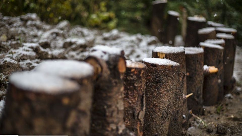 بارش برف پاییزی در شمال تهران