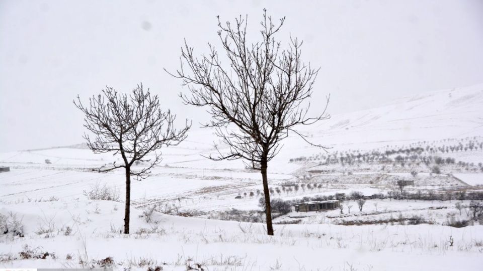 طبیعت سفیدپوش در روز زیبای برفی 