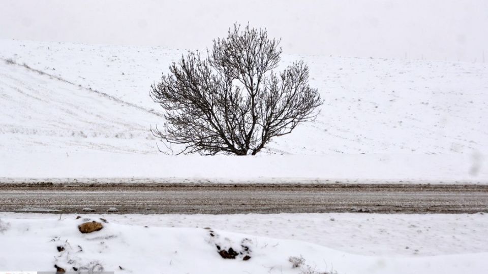 طبیعت سفیدپوش در روز زیبای برفی 