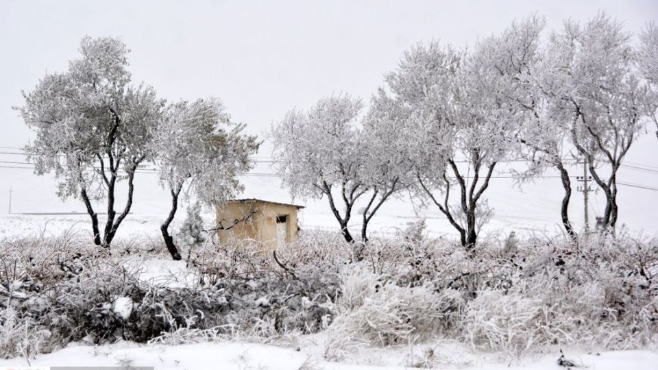 طبیعت سفیدپوش در روز زیبای برفی 