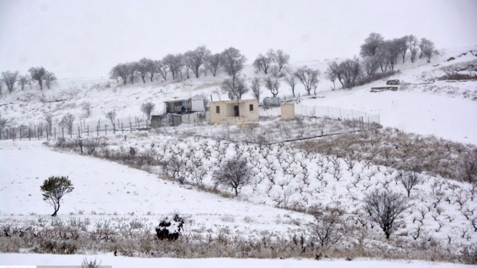 طبیعت سفیدپوش در روز زیبای برفی 