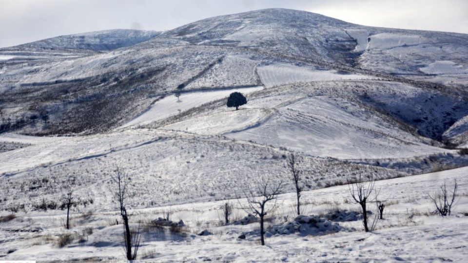 طبیعت سفیدپوش در روز زیبای برفی 
