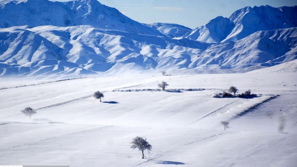 طبیعت سفیدپوش در روز زیبای برفی 