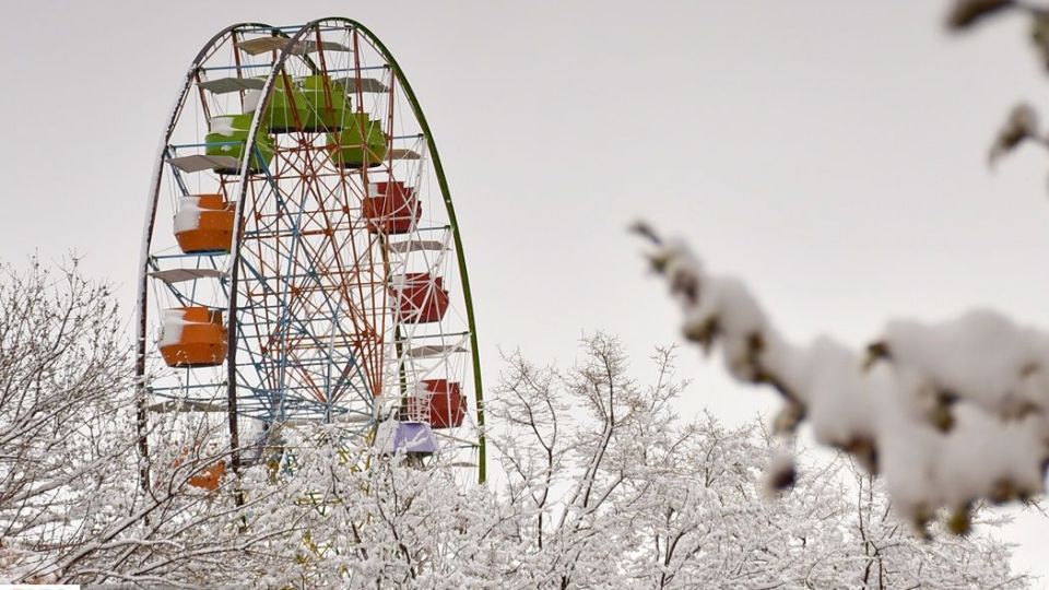 طبیعت سفیدپوش در روز زیبای برفی 