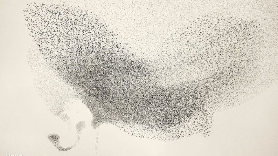 تصاویر منتخب حیات وحش هفته‎