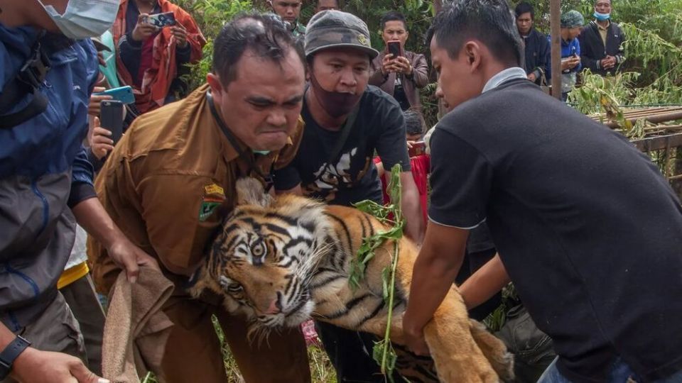 تصاویر منتخب حیات وحش هفته‎