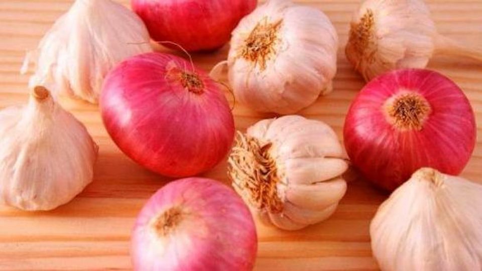 فرق «موسیر» و «سیر» در چیست؟