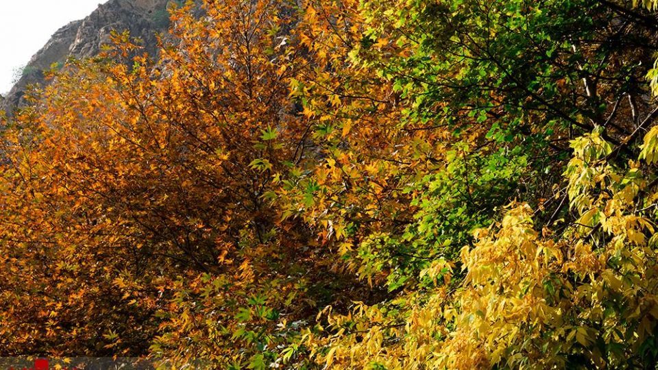 دربند هزار رنگ