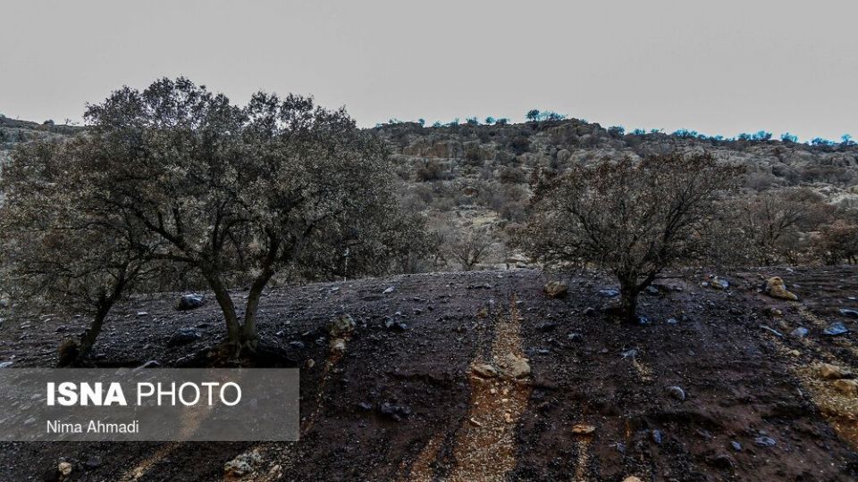 آتش سوزی در خط لوله انتقال نفت مارون