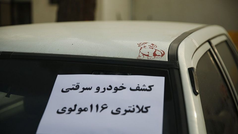 اجرای طرح امنیت محله محور در پایتخت