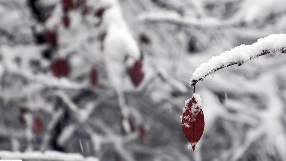 سفید پوش شدن اردبیل در آخرین روزهای پاییز