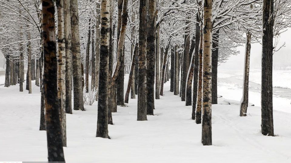 سفید پوش شدن اردبیل در آخرین روزهای پاییز