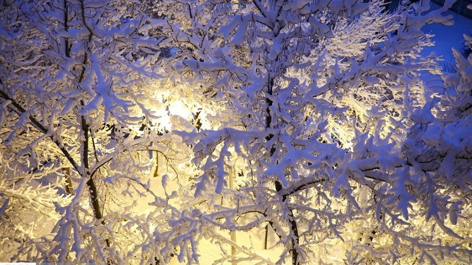 سفید پوش شدن اردبیل در آخرین روزهای پاییز