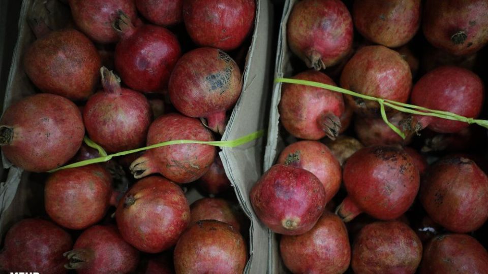 توزیع سبد مواد غذایی در آستانه شب یلدا