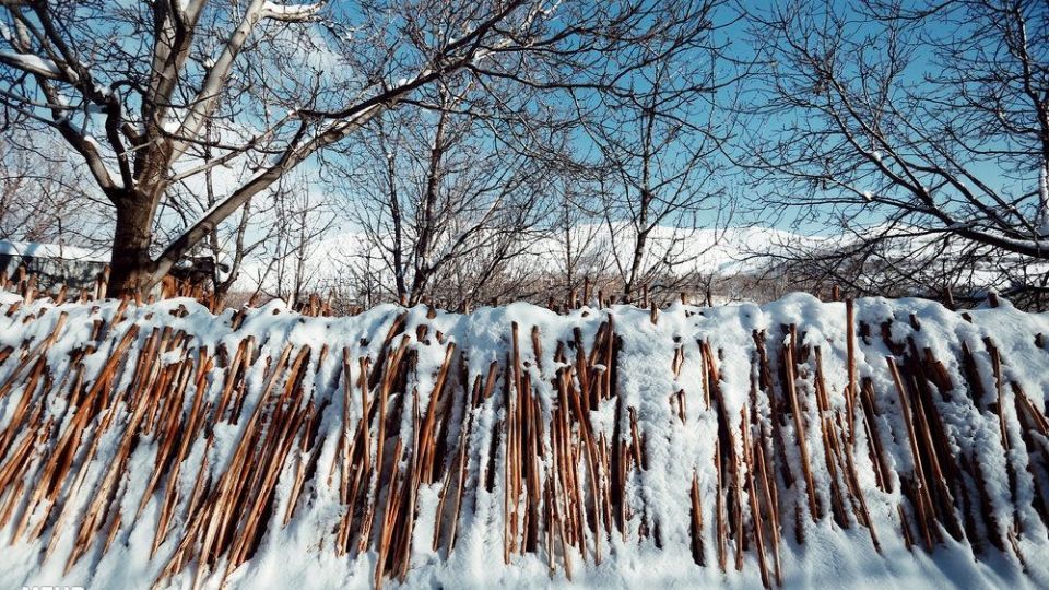 طبیعت برفی «دره مرادبیگ»