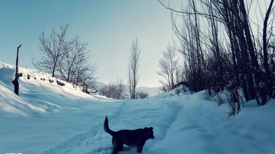 طبیعت برفی «دره مرادبیگ»