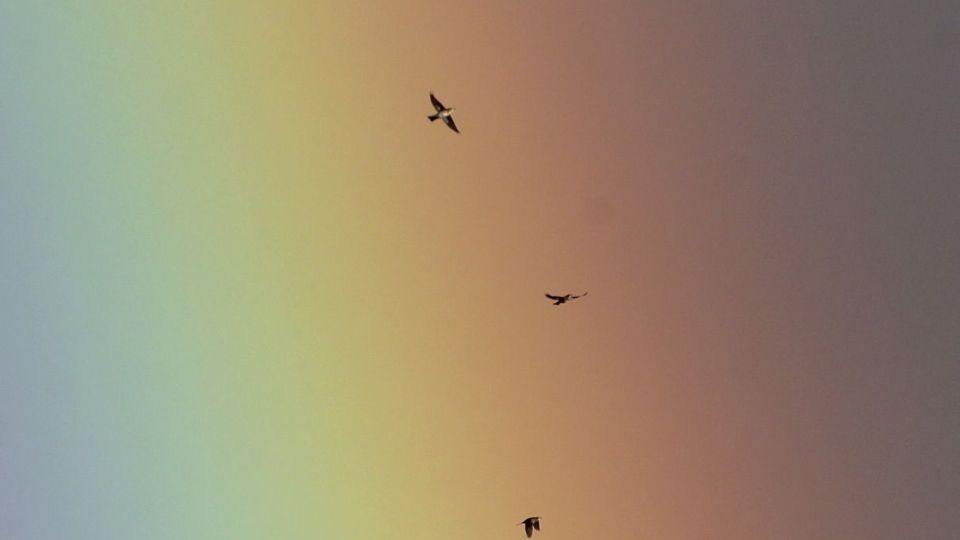 عکس های منتخب هفته از جهان