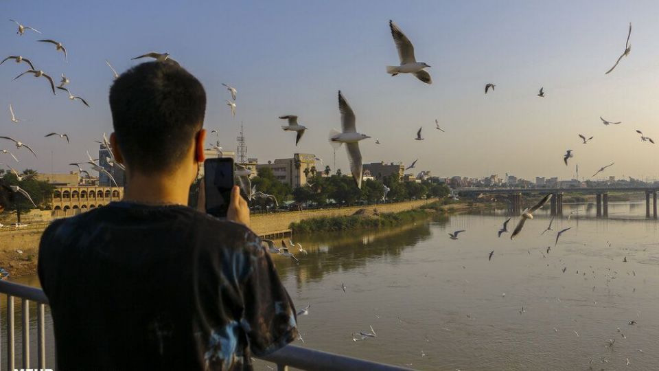 پذیرایی اهوازی ها از مرغ های ماهی خوار